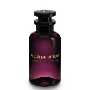 هاردباکس لویی ویتون آمبر نومد Louis Vuitton Ombre Nomade
